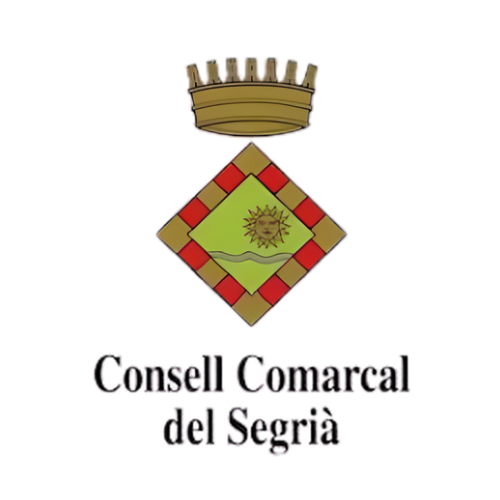 consell comarcal del segrià